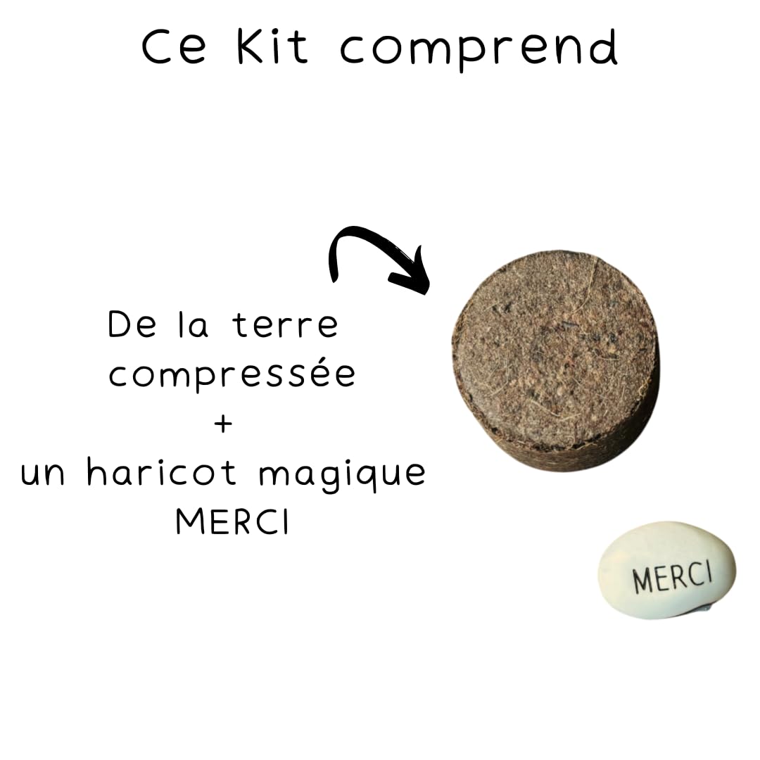 Générique Kit Haricot Magique à Planter Message Gravé MERCI – Cadeau Remerciement Maîtresse Institutrice – Fin d'Année Scolaire École – Souvenir Poétique Original