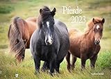 Edition Seidel Pferde Premium Kalender 2023 DIN A3 Wandkalender Pferd Pony Fohlen Reitpferd Tiere Weide Wiese Natur
