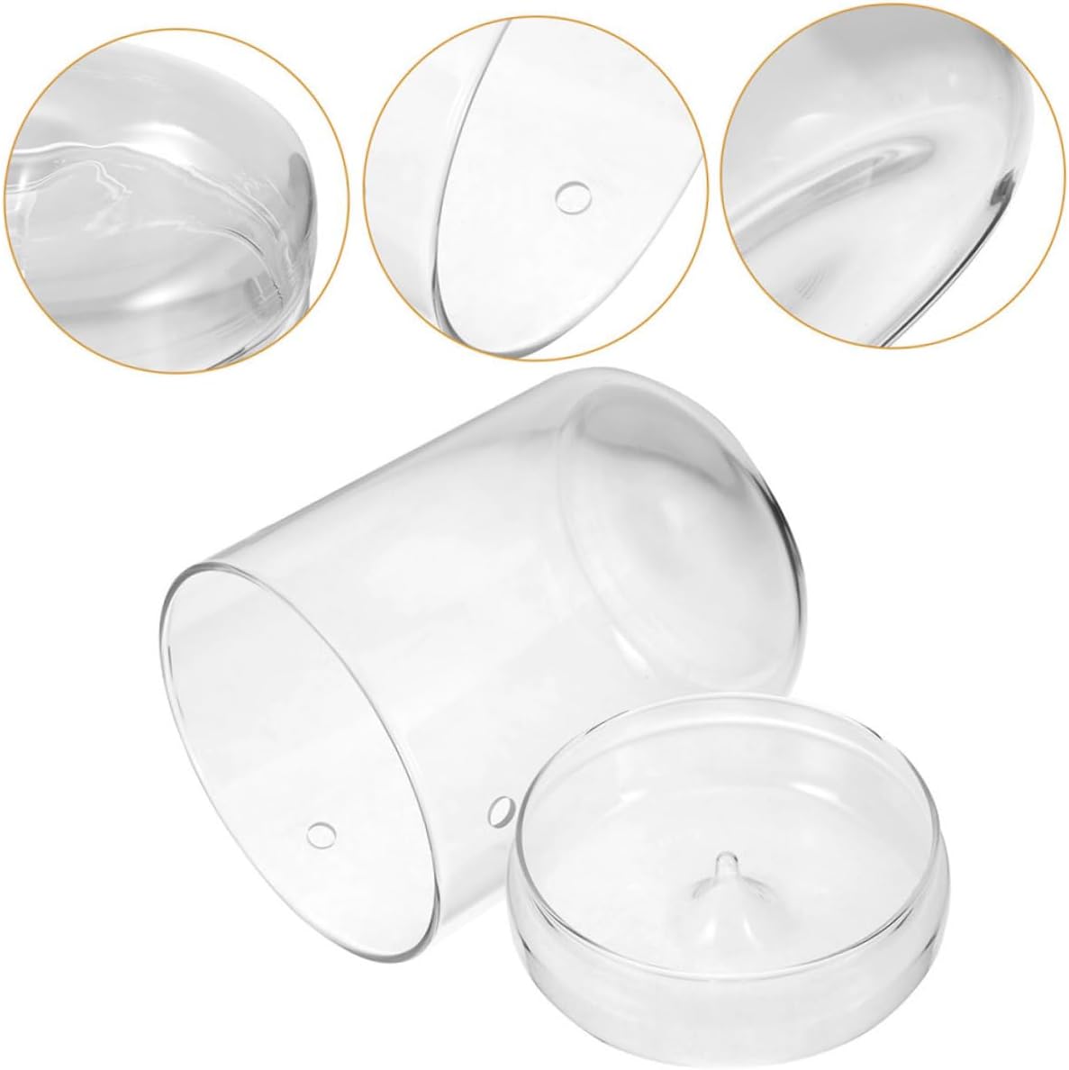 Bottle Landscape Terrarium for Home Decor Moss Plant Display for Indoor and Outdoor Use Creative Desktop Decoration