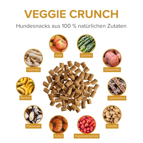 Veggie Crunch – Vegane Hundeleckerlis aus Gemüse & Früchten, Zertifiziert vegan – Nachhaltige, getreidefreie Snacks ohne künstliche Zusätze – 200 g