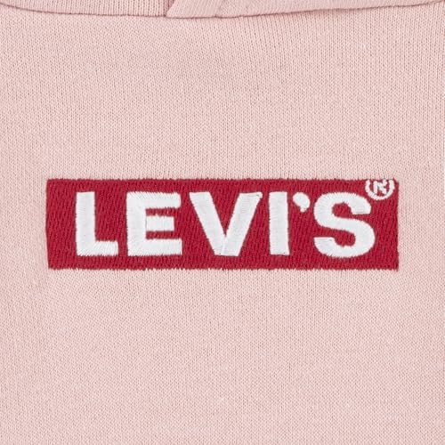 Image of Levi's Boys' Soft Knit Graphic Pullover Hoodie