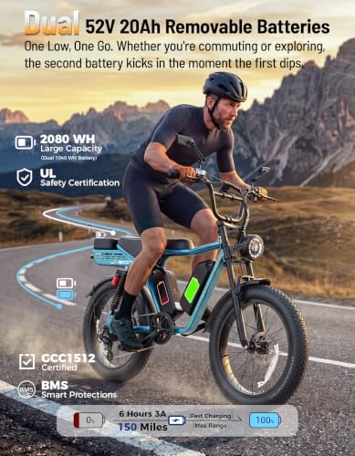 Jasion RetroVolt Max Dual Battery E-Bike