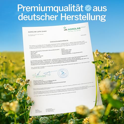 Vitamin B Komplex hochdosiert rein aus Buchweizen I 1000 mg Tagesdosis 8in1 B Vitamine I 90 Kapseln I Höchste Bioverfügbarkeit I Alle B-Vitamine I mit B12 Vitamin OHNE Zusätze