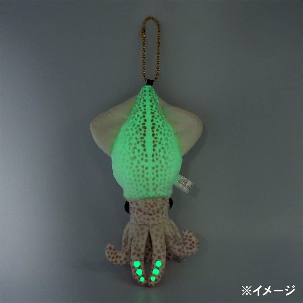 Amazon Co Jp 光る ホタルイカ ぬいぐるみ キーチェーン17 蓄光生地 おもちゃ