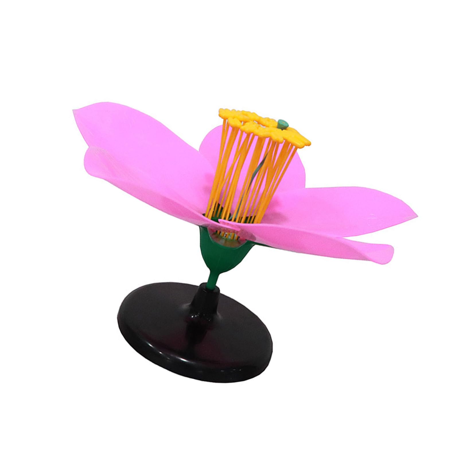 Modèle fleur de pêche échantillon plantes pour enseignement - 7