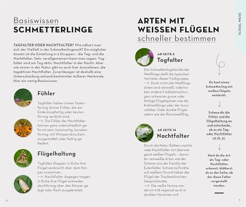 Basic Schmetterlinge: 143 Arten einfach und sicher erkennen - In drei Schritten zur richtigen Art (Kosmos-Naturführer Basics)