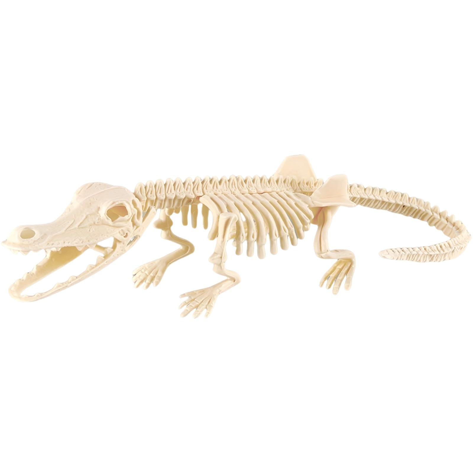 Generic Kids' Skeleton Crocodiles Dig Kit, Plastic Animal Skeletons To Assemble, Complete Excavation Tools, Educational Digging Toys