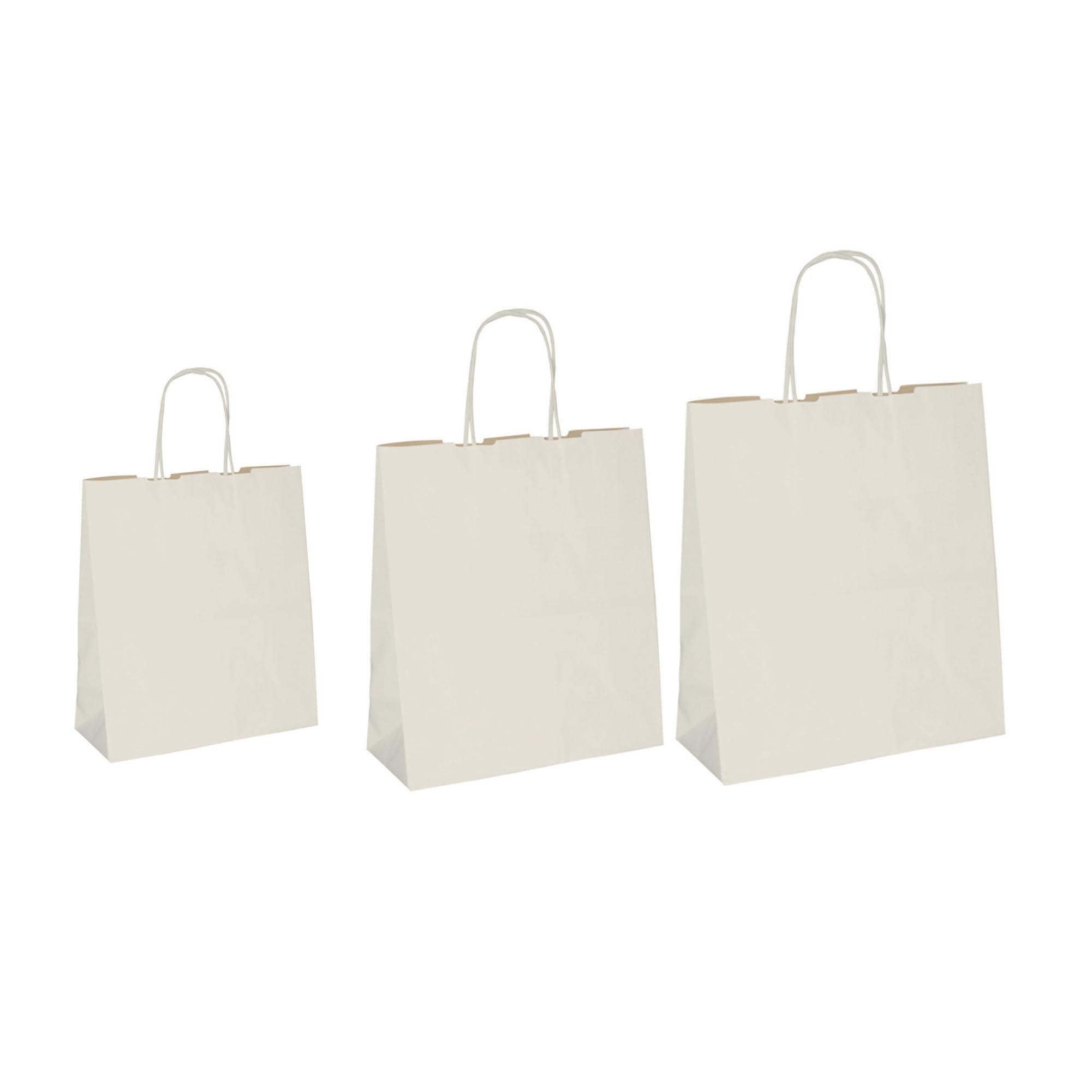 Sacs en papier BIOKRAFT 45x15x50 cm lot de 25 pièces grand format