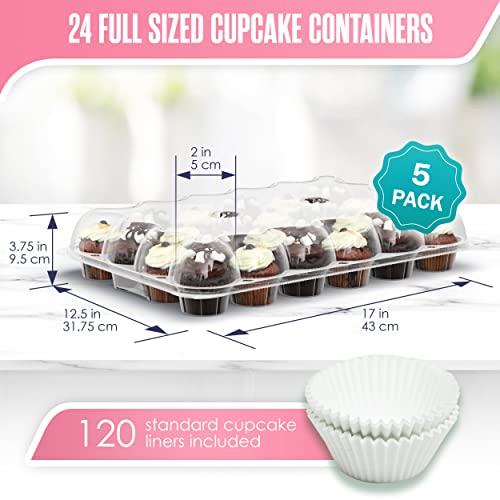 Cupcake Boxes 24 Count, Cup Cake Containers, Travel Carrier, 5 Pack (120 Compartment), Full Size, Tall Dome, Clear, Pet Plastic, Disposable, Tray With Lid, Cupcakes Transport Holder, Houseables #TOP1