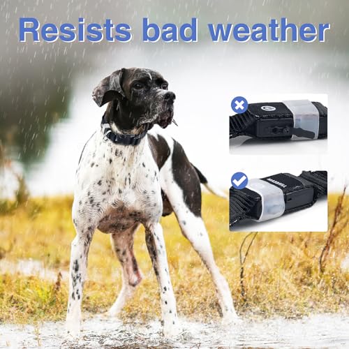 MASBRILL Leuchthalsband Hund, Hundehalsband Leuchtend Aufladbar USB-C, LED Halsband für Hunde Einstellbare Wasserdicht, Halsband Hund Leuchtend 3 Lichtmodi für Kleine Mittlere Große Hunde(Schwarz L)