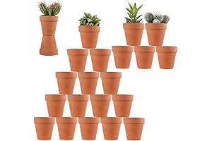 Mini Terracotta Pots for Your Plant Haven: 22-Pack of 3-Inch Clay Flower Pots with Drainage