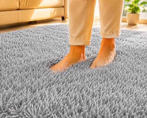 Image of Shaggy Carpet 6x9 Ft for Living Room & Bedroom (Silver)