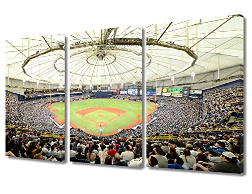 Tropicana Field Wall Art Painting St. Petersburg Florida Baseball Stadium Bedroom Living Room Wall Decor Framed Modern Pictures Canvas Prints Artwork for Wall Decor Office Decorations, 36"Wx24"H