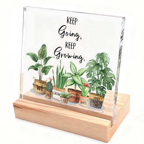Inspirational Christmas Gifts for Women, Girl, Motivational Desk Decor for Dorm, Office, Cubicle, Classroom Teacher Desk Decor, Cheer Up Gift for Coworker Friends
