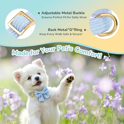 Collar para perro terciopelo azul talla S ajustable miniatura 4