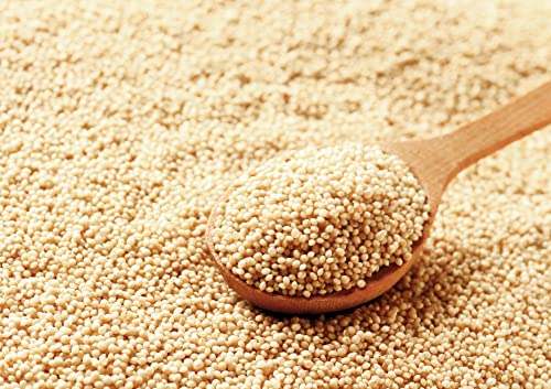 Image of Food to Live Amaranth Grain, 1 Pound - 100% Whole Seeds, Vegan, Kosher, Bulk. Sweet, Nutty Flavor. Rich in Protein, Calcium. Great Alternative to Rice or Quinoa. Great for Cereal, Salads, Soups