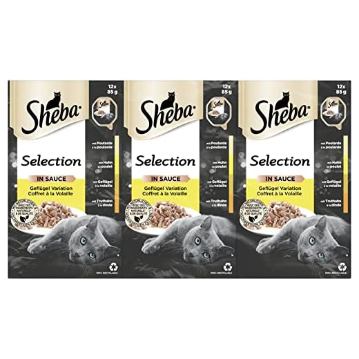 Sheba, mangime Umido per Gatti, sapori Vari, 72 porzioni (6 porzioni per 12 Confezioni da 85 g) [Etichetta in Lingua Italiana Non Garantita].