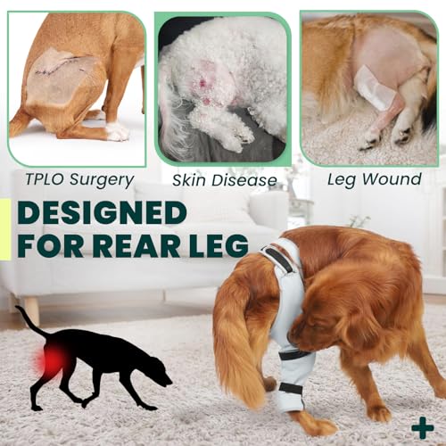 Image of Dog Rear Leg Sleeve to Stop Licking, Hind Leg Protector for TPLO Recovery, ACL Surgery, Wounds or Skin Issues, Soft Breathable Cover for Large Medium Small Dogs
