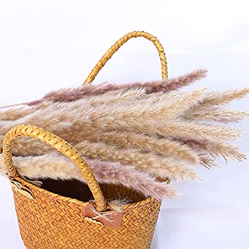 Pampasgras gedroogde decoratie, 30 stuksnatuurlijk gedroogd Phragmites planten droogbloemen decoratie bloemen vaas voor… - Afbeelding 4