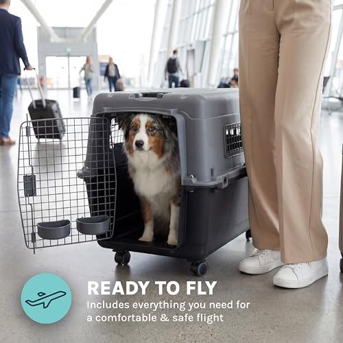 Image of SportPet Airline Compliant LARGE 31.5 inch Travel Dog Kennel- Durable Plastic Airline Pet Carrier w / Removable Wheels & Food Bowls, Collapsible Indoor /Outdoor Dog Kennel, Dogs up to 28 inchL & 20 inchH-Dark Gray