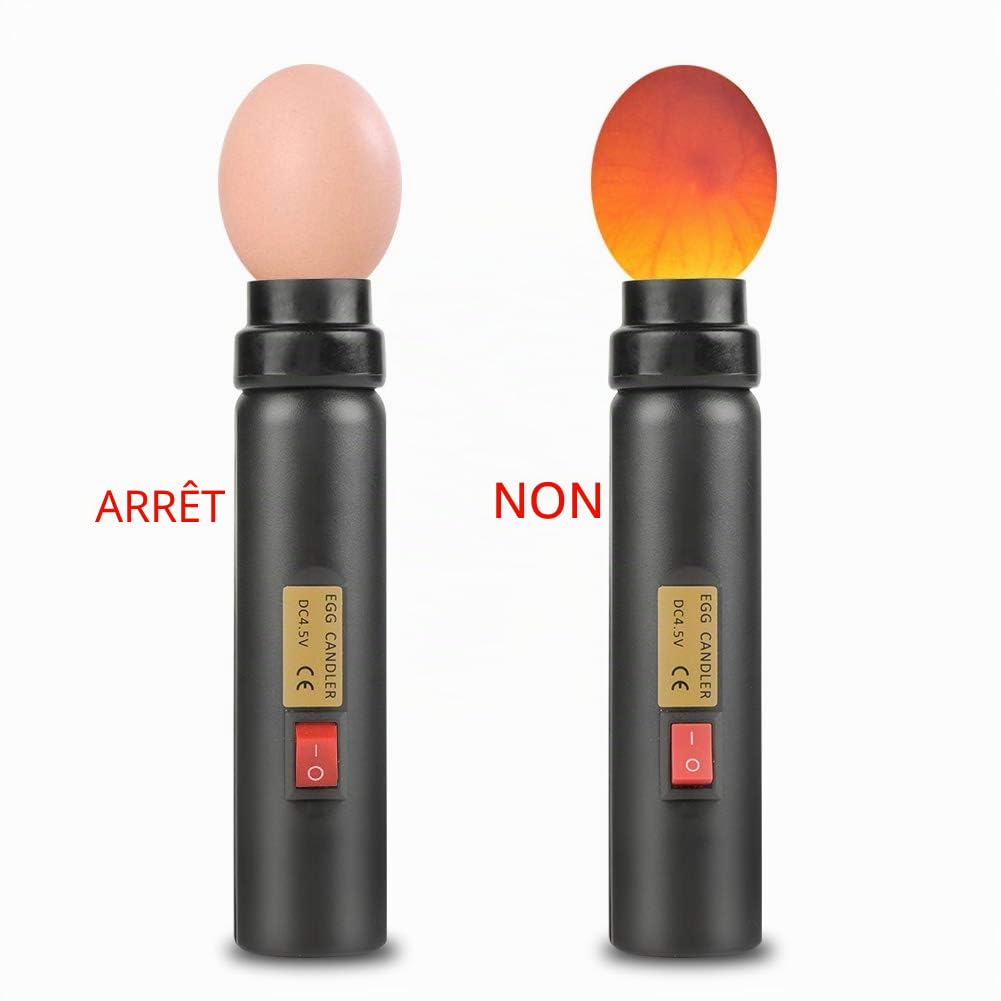 mire oeuf professionnel Bougeoir à œufs - Testeur d'œufs à LED - Mini Incubateur d'éclairage automatique pour expérimentation pour un éclairage ultra sûr de vos œufs