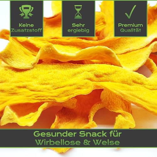 Premium Hokkaido Chips 10g + 1g Bonus - Kürbis Streifen | Für Aquarium & Terrarium Garnelen, Schnecken, Krebse, Welse | Made in Germany