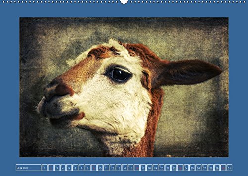 Die schönsten Tierportraits der besonderen Art (Wandkalender 2017 DIN A2 quer): Ausdruckstarke Portraits aus unserer wunderbaren vielfältigen Tierwelt ... Angela und DESIGN Photo + PhotoArt, AD