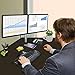 SIIG Premium Aluminum Dual Monitor Stand - 2 Monitors 13
