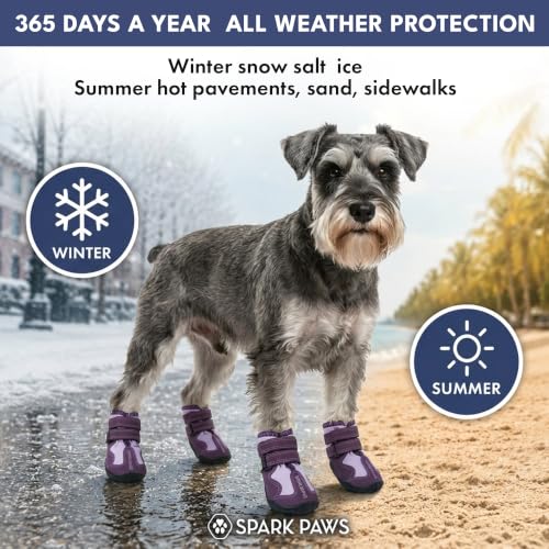 Image of Spark Paws 365 Dog Shoes - All-Weather Paw Protection | Winter Snow Boots & Summer Hot Pavement Booties for Dogs | All-Terrain, Water-Resistant, Purple - Size 7