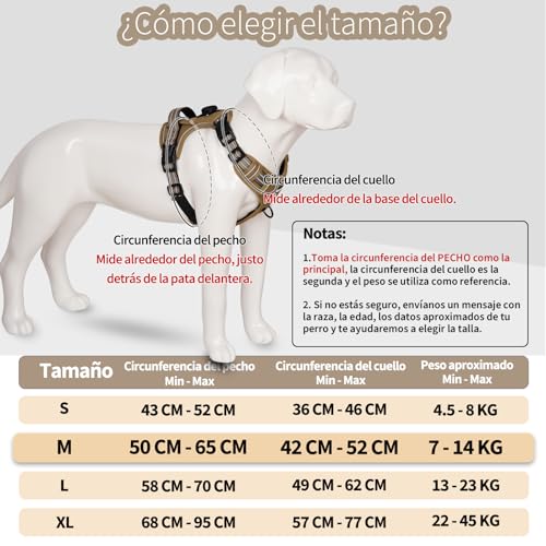 Pecheras para perros 17 Imagen adicional