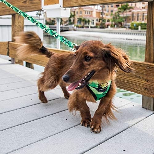 EcoBark Dog Leash, Soft & Reflective Comfort Training Leashes with Padded Handle, Strong Durable Heavy Duty - Image 3