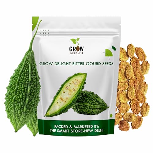 Image of Bitter Gourd (Karela, Pavakai) (20 Seeds) Vegetable Seeds for Home Garden, Organic & Hybrid, Perfect for Home Gardening, Planting For Pots and Patio