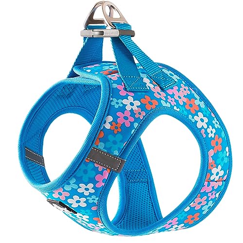 J&C Paradise  n[lX {KX y ʋC bV lC ȒP q L e TRUELOVE (S, XJCu[)