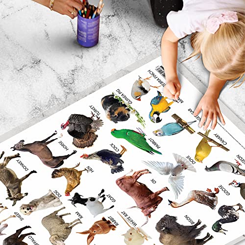 Image of GO WOO Combo of 2 (Alphabet and (Domestic Animals and Pets) Educational Posters for Preschool Kids Classroom Study | Learning- Charts for Kids Learning (20 inchX30 inch Inches)