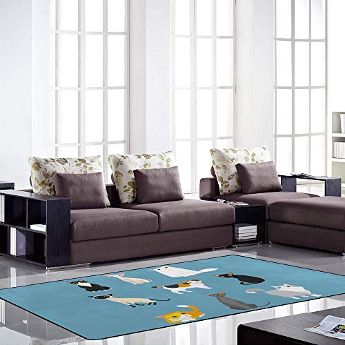 Tapis de grande taille chat bleu à poils longs pour sol stratifié de salon - 4