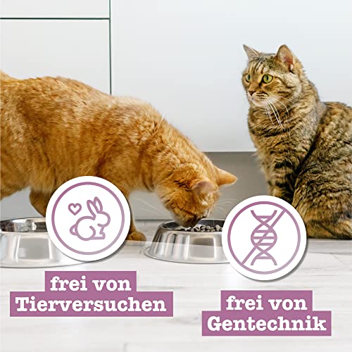 catz finefood Meatz Katzen Leckerlies Kaninchen N° 11 - knusprige Streifen aus Kaninchenfleisch - gegrillt und getrocknet - Katzensnack ohne Zucker, getreidefrei, 45g