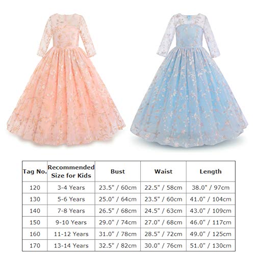 Girls Pageant Princess Flower Dress Kids Prom Puffy Ball Gowns Embroidered Fancy Royal Palace Masquerade Dress Baptism Formal Suit Birthday Patrty Skirt Floral-Blue 3-4T #TOP6