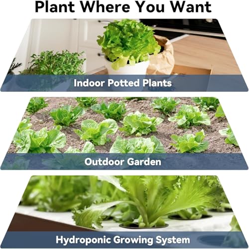 LYKOCLEAN 8-pod Salad Seeds Pod Kit for AeroGarden, iDOO, Ahopegarden Hydroponics Growing System, 350+ Seeds (Include Spinach, Lacinato Kale, Arugula, Swiss Chard, Red Leaf Lettuce, Cucumber) — view 6