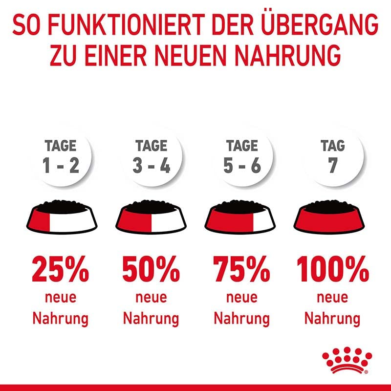 Royal Canin FCN Hair & Skin Loaf | 12 x 85 g | Alleinfuttermittel für ausgewachsene Katzen (Mousse) | Kann zu einem gesunden Fell beitragen | Kann dabei helfen das Fell zu unterstützen