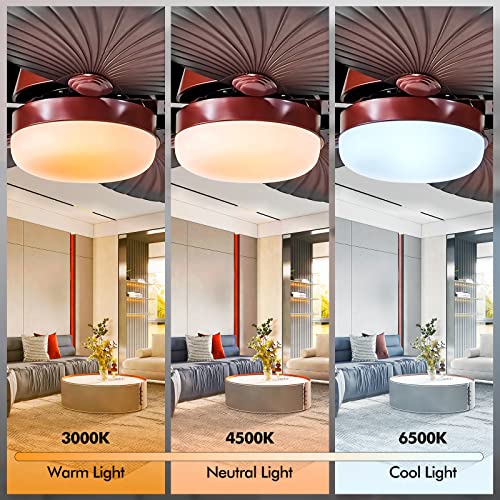 A-Million-Modern-Ceiling-Fan-with-Lights-3-Color-Light-3-Speeds-Remote-Control-Silent-AC-Motor-Tropical-Ceiling-Fan-LED-Light-Kit-Included-52-Inch A Million Modern Ceiling Fan with Lights 3 Color Light 3 Speeds Remote Control Silent AC Motor Tropical Ceiling Fan LED Light Kit Included 52 Inch