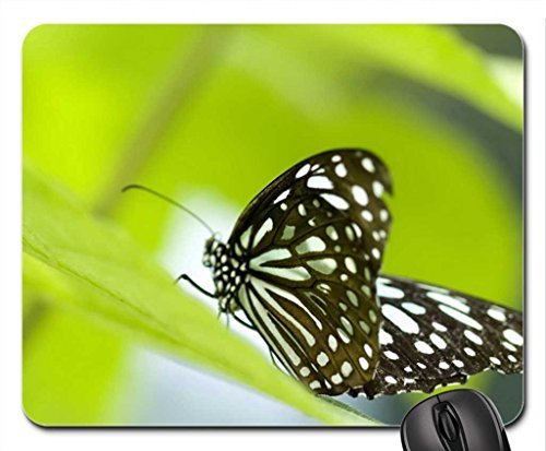 Preisvergleich Produktbild Ein palmer frische und leichtes mauspad