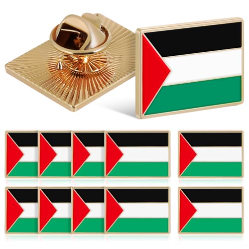 ANDRESLAD Set 12 Spille Bandiera Della, Spilla Da Bavero in Lega, Spilla Decorativa Per Abbigliamento e Accessori, Per Giacche, Sciarpe, Regalo Commemorativo