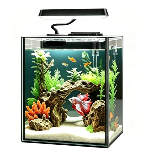 iPriro Glass Betta Aquarium Starter Kits 1.5 Gallon Small Fish Tank, Betta Fish Tank with LED Light, Power Filter, Black. 4mm Glass