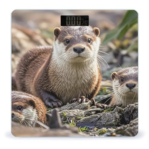 Báscula Digital de Baño Animal Cute Brown Otters miniatura 1