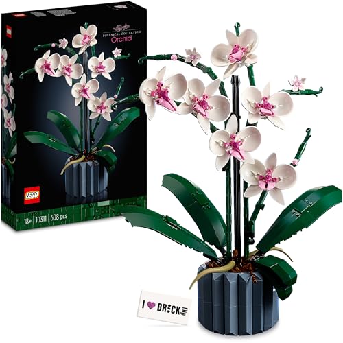 LEGO Orchidee 10311: LEGO Blumen Deko Set mit bedruckter Fliese - Klemmbausteine Blumenstrauß für Erwachsene aus der Botanical Collection Orchideen Blume