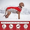 FUAMEY Dog Coat for Medium Dogs,Waterproof Dog Winter Jacket with Harness Built in Puppy Cold Weather Coats Reflective Pet Vest with Zipper Warm Fleece Dogs Snowsuit Windproof Red M #2