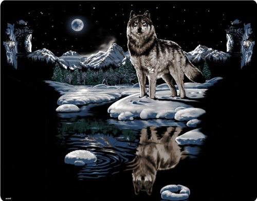 Liquid Blue - Winter Night Wolf - Skin for 1 Microsoft Xbox 360 Wireless Controller