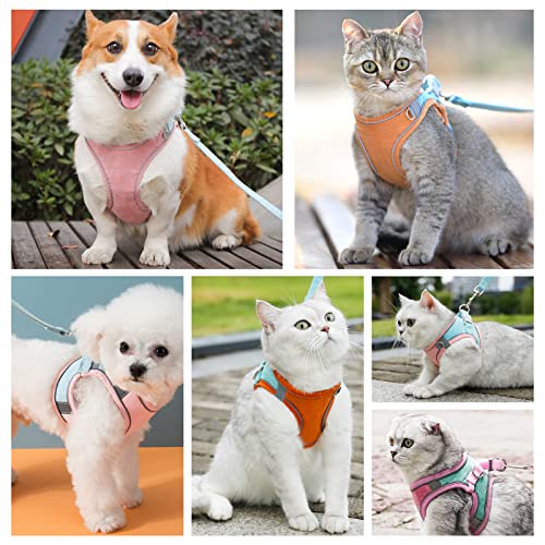 Cat Harness and Leash Set for Walking, Escape Proof, Adjustable Soft Cats and Small Dogs Vest Harness with Reflective… - Image 3