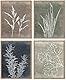 Linilioart Neutrale botanische Leinwand-Wandkunst, Pflanzen, Wanddekoration, minimalistische Boho-Wandkunst für Wohnzimmer, Schlafzimmer, Küche (20 x 25 cm, ungerahmt), 4 Stück