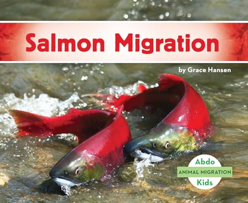 Salmon Migration (Animal Migration) view 2